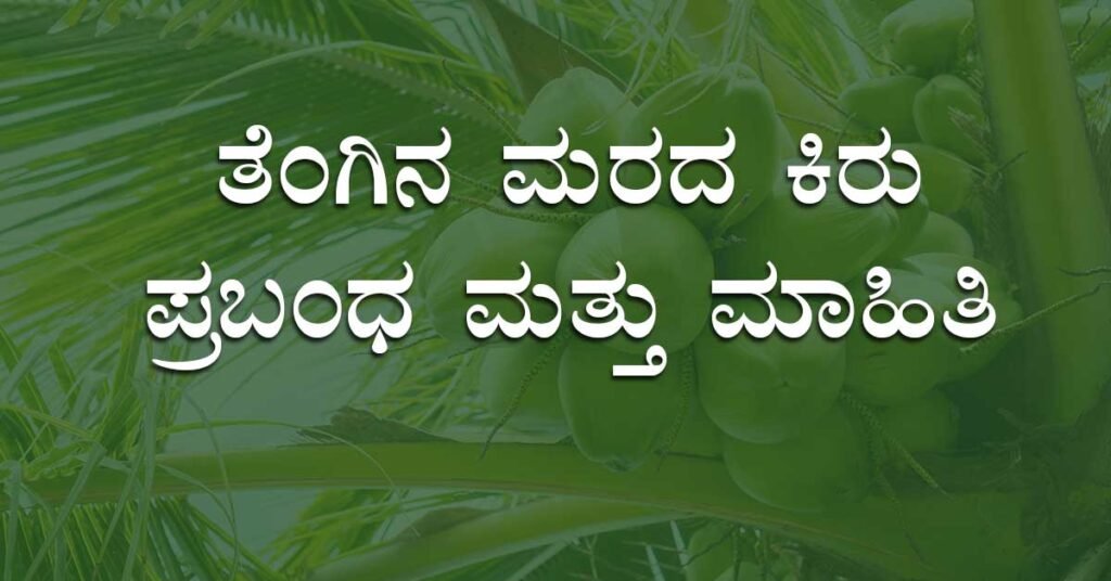 coconut tree essay in kannada